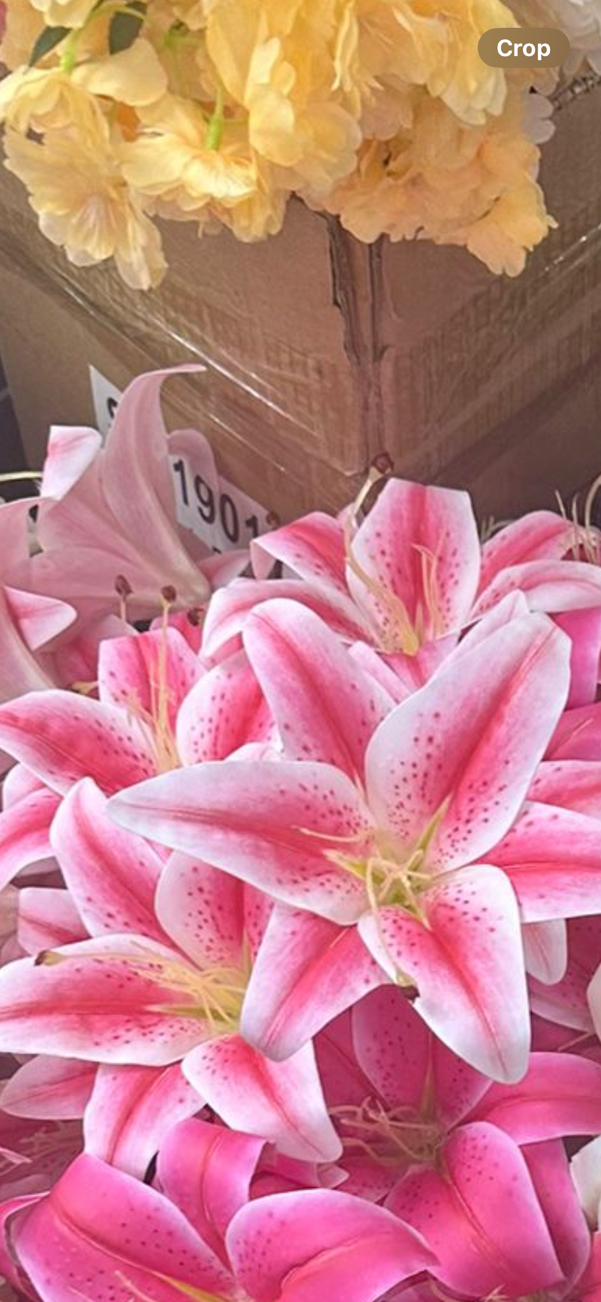 Light pink Lily Bunch